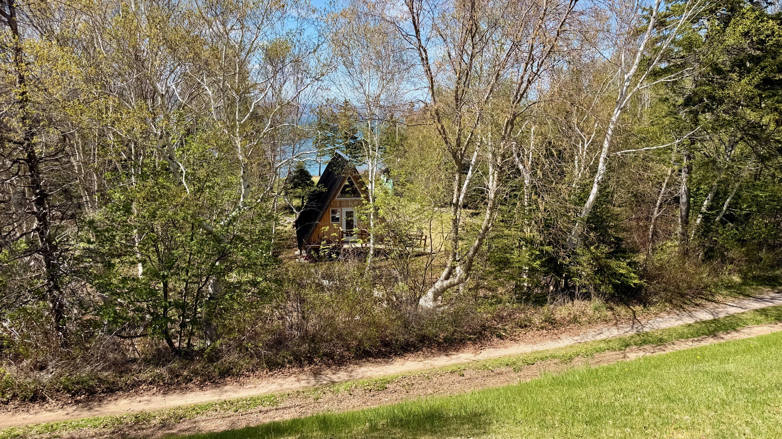 The aframe seen through the trees from the road